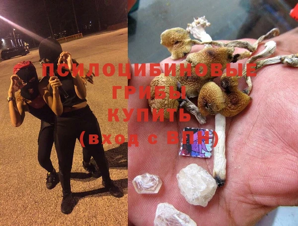 марихуана Бородино