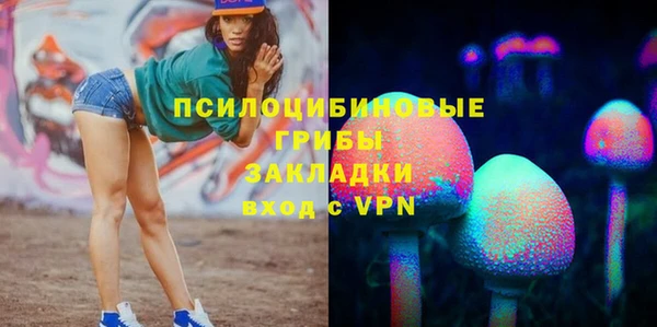 винт Бронницы