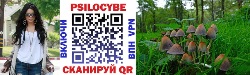 Купить закладки  Полярный  Галлюциногенные грибы Magic Shrooms 