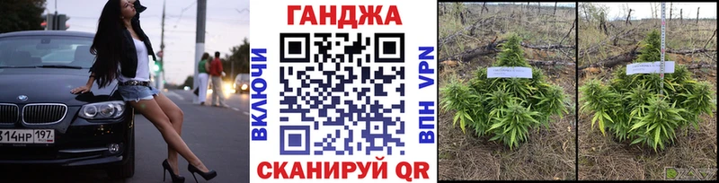 Купить закладки  Полярный  Шишки марихуана конопля 